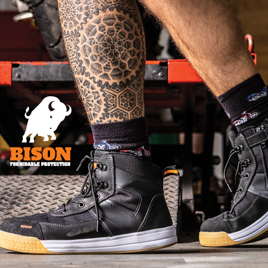 Bison