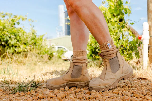 Steel Blue 510701 Ladies Hobart E/S Non Safety Boot