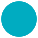 High-Performance DTF Ink - 1 Ltr Bottle