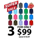 Pilbara RM300CF Ladies Closed Front L/S Shirt